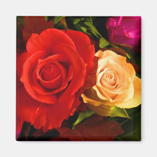 Imã Magnet Rosa Amarelo Vermelho - Personalizável