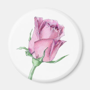 Imã Magnet Rosa Rosa Rosa Rosa