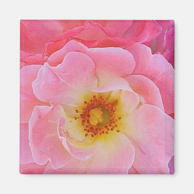 Imã Magnet Rosa Rosa Rosa Rosa Rosa Rosa (Frente)