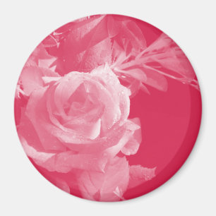 Imã Magnet Rosa Rosa Rosa Rosa Rosa Rosa