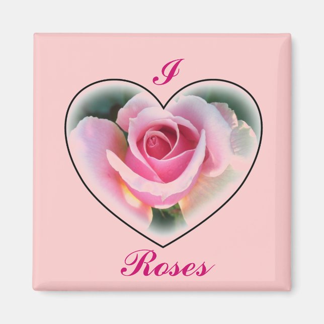 Imã Magnet Rosa Rosa Rosa Rosa Rosa Rosa (Frente)