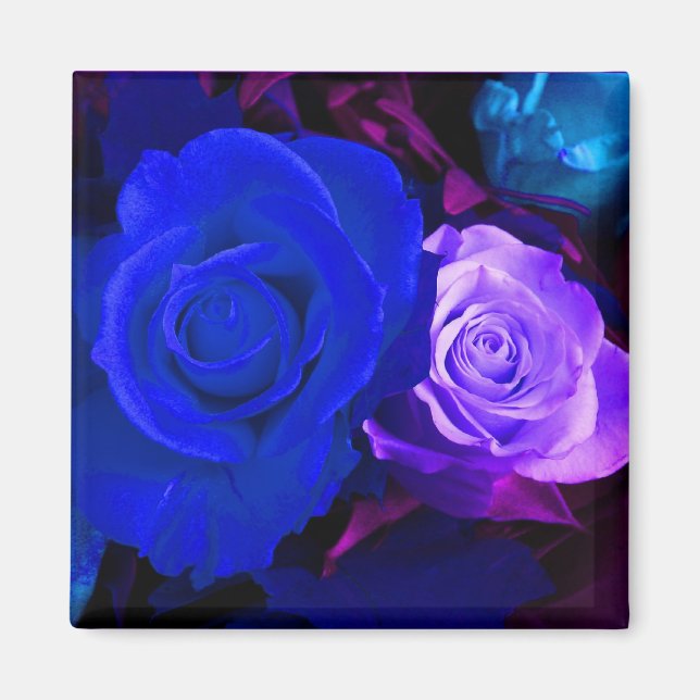 Imã Magnet Rosas Roxo Azul - Personalizável (Frente)