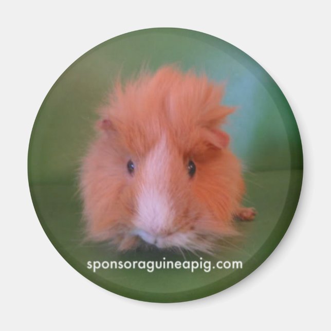 Imã Magnet SAGP (Frente)