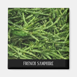 IMÃ MAGNET - SAMPHIRE FRANCÊS