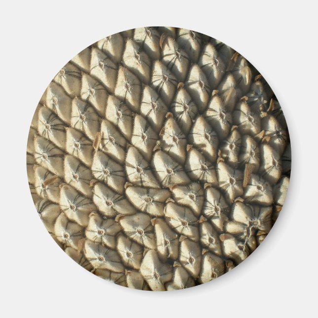 Imã Magnet - Sementes De Girassol (Frente)