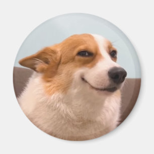 Imã Magnet Smiling Corgi Meme