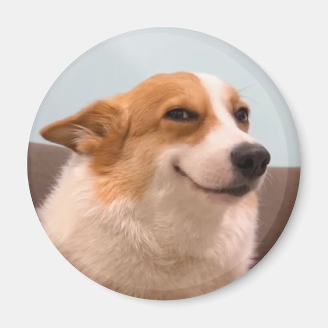 Imã Magnet Smiling Corgi Meme (Frente)