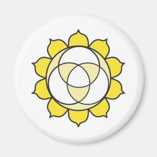 Imã Magnet Solar Plexus Chakra
