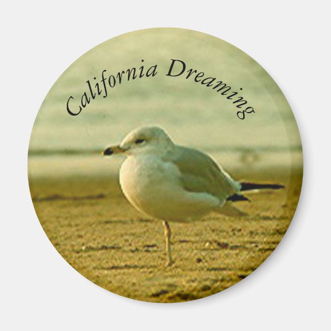 Imã Magnet - Sonho de Seagull (Frente)