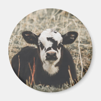 Imã Magnet - Spring Calf