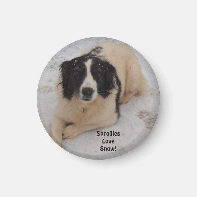 Imã Magnet Sprollie Na Neve (Frente)