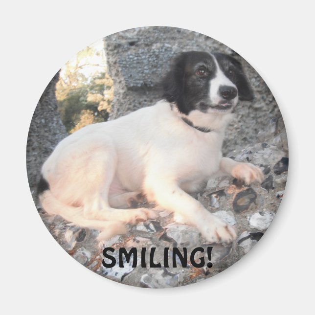 Imã Magnet Sprollie VIsiting Castle Smiling (Frente)