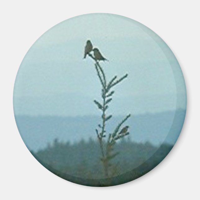 Imã Magnet - Topo do Mundo (Frente)