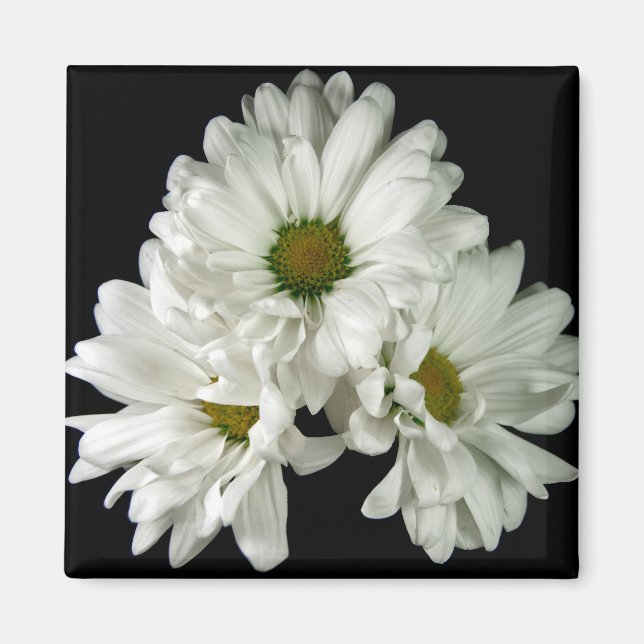 Imã Magnet Triple Delight (Frente)