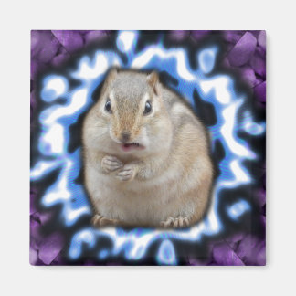 Imã Magnet Tripmunk