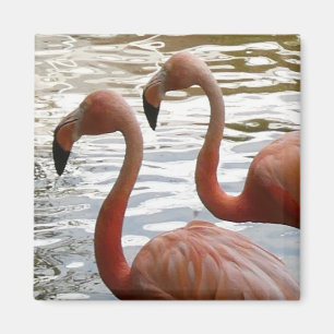 Imã Magnet Tropical Flamingo Birds