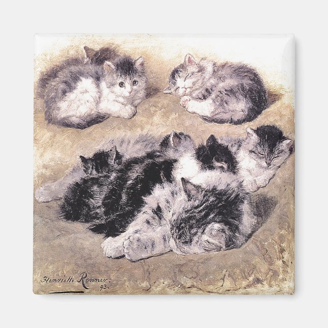 Imã Magnet: Um estudo sobre gatos (Frente)