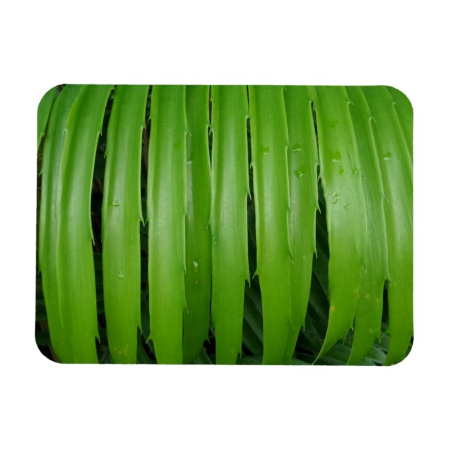 Ímã Magnet Verde 3"x4" (Horizontal)