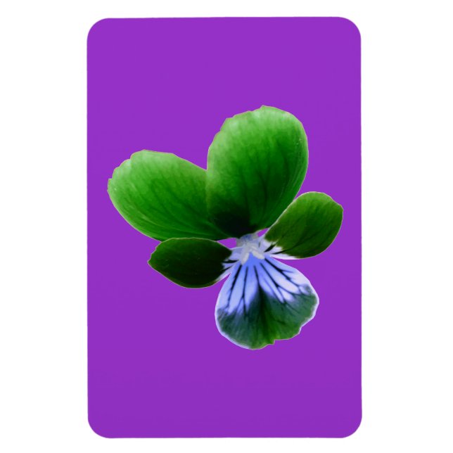 Ímã Magnet Verde Pansy Premium (Vertical)