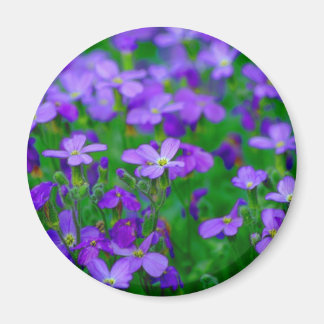 Imã Magnet Violet Flowers