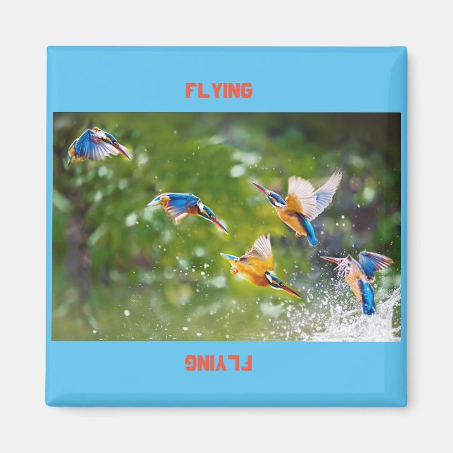 Imã Magnet Voando (Frente)