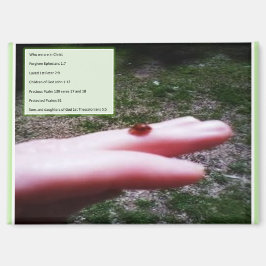 Imã magnet -who we are in Christ