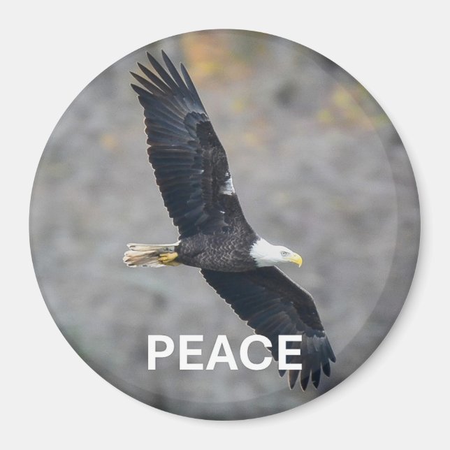 Imã Magnet with Bald Eagle picture and the word Peace (Frente)