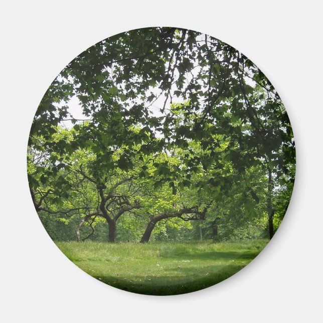 Imã Magneta (Frente)