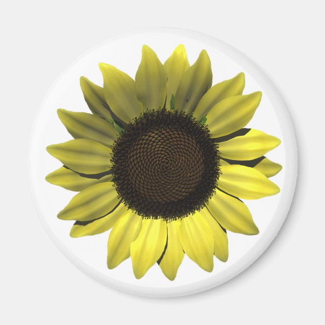 Imã Magneta (Frente)