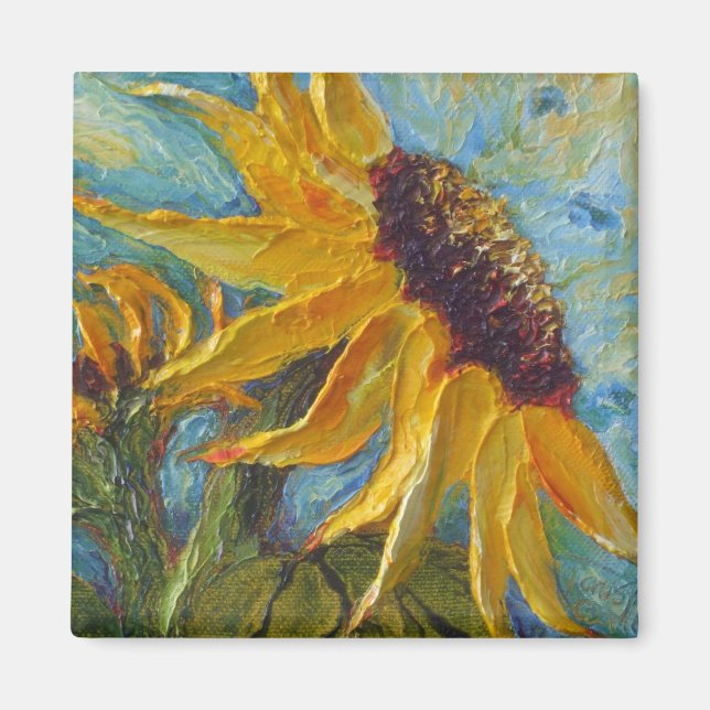 Imã Magneta (Frente)