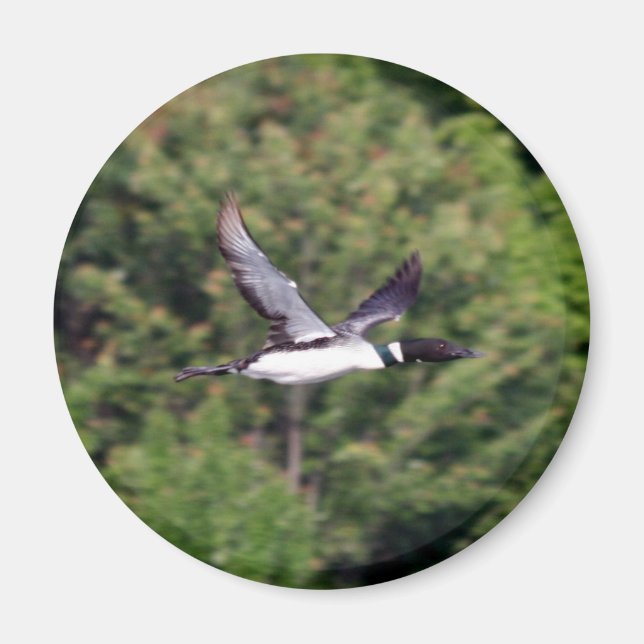 Imã Magneta (Frente)