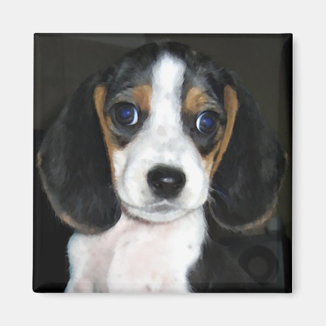 Imã Magneta 2 do Beagle (Frente)