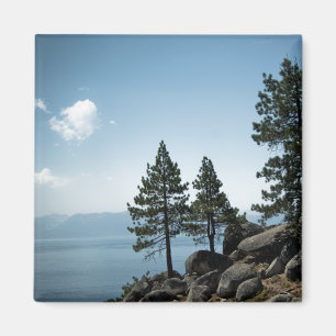 Imã Magneta Advantage