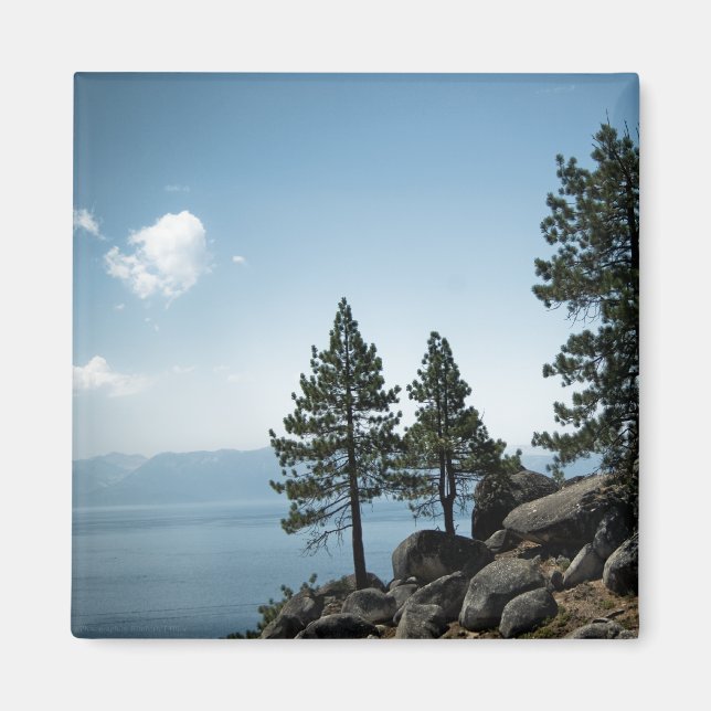 Imã Magneta Advantage (Frente)