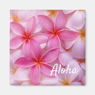 Imã Magneta Aloha