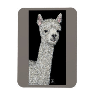 Ímã Magneta Alpaca