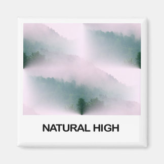 Imã Magneta Alta Natural