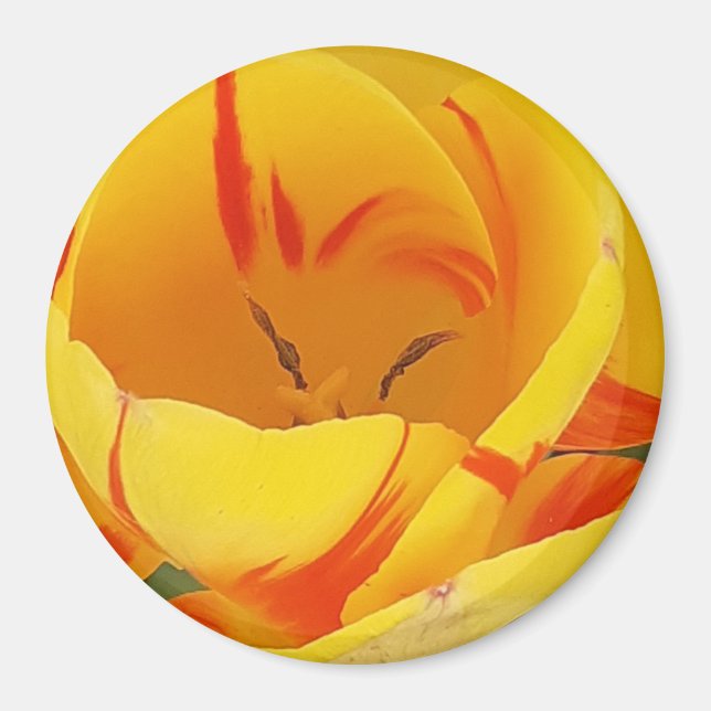 Imã Magneta amarela (Frente)