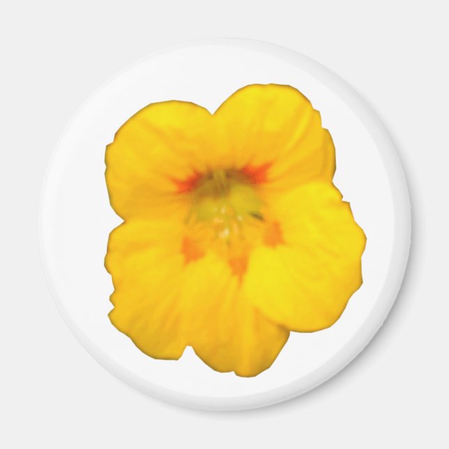 Imã Magneta amarela de flores de nasturtium (Frente)