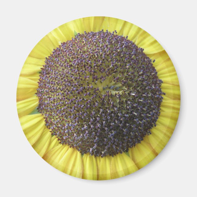 Imã Magneta Amarelo (Frente)