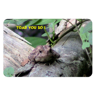 Ímã Magneta American Toad Premium Flexi
