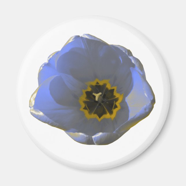 Imã Magneta azul e amarela (Frente)