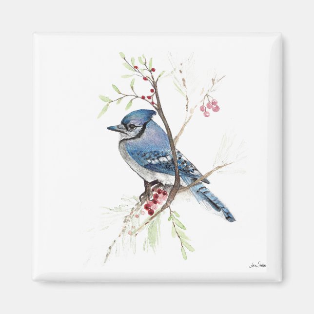 Imã Magneta Blue Jay Bird Watercolor (Frente)
