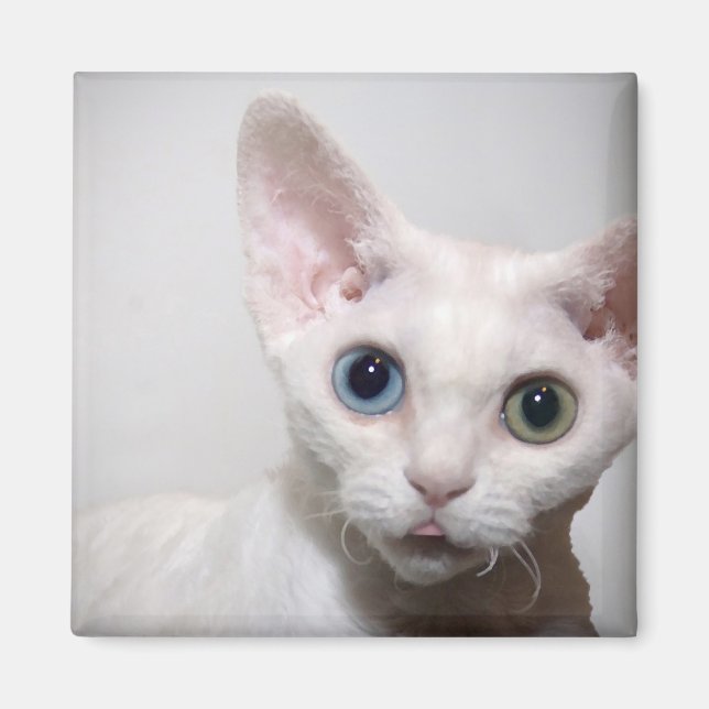 Imã Magneta branca (Frente)