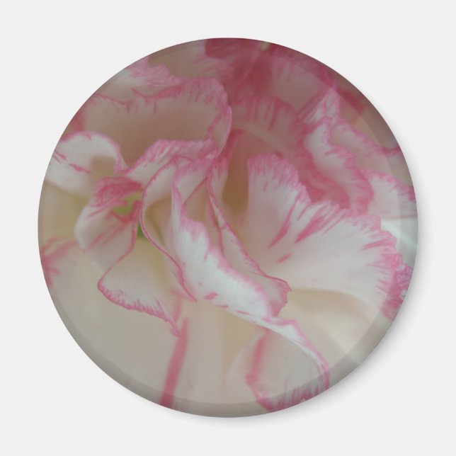 Imã Magneta branca e rosa (Frente)