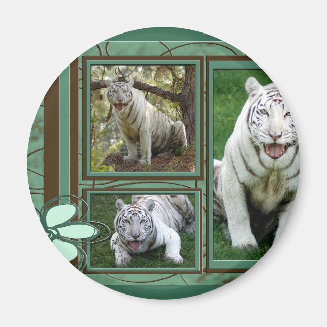 Imã Magneta branca Tigre (Frente)