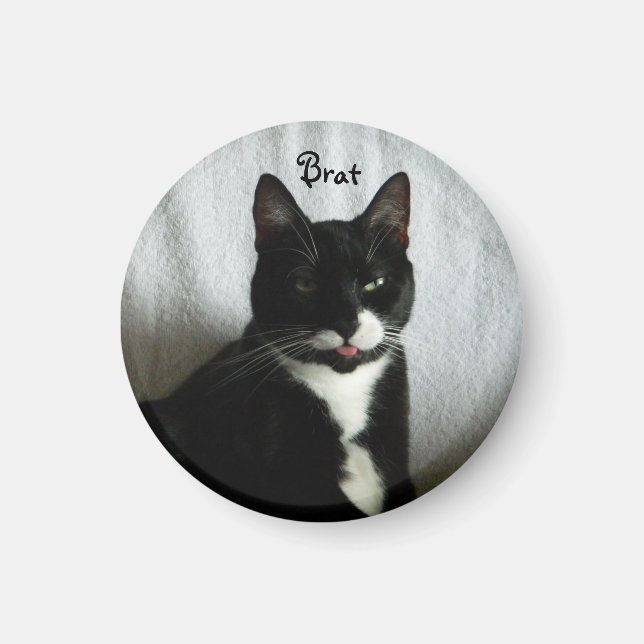Imã Magneta Brat Cat (Frente)