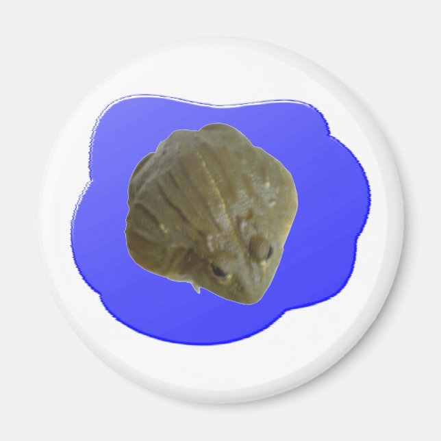 Imã Magneta Bullfrog (Frente)