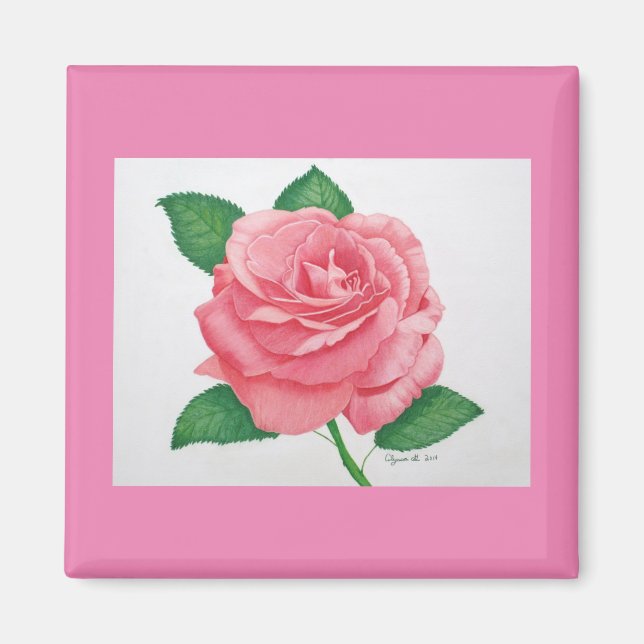 Imã Magneta cor-de-rosa (Frente)