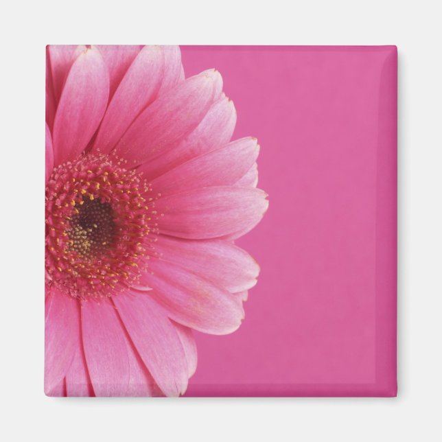 Imã Magneta cor-de-rosa (Frente)